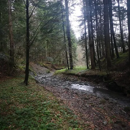 Siedlisko Podjaworzem