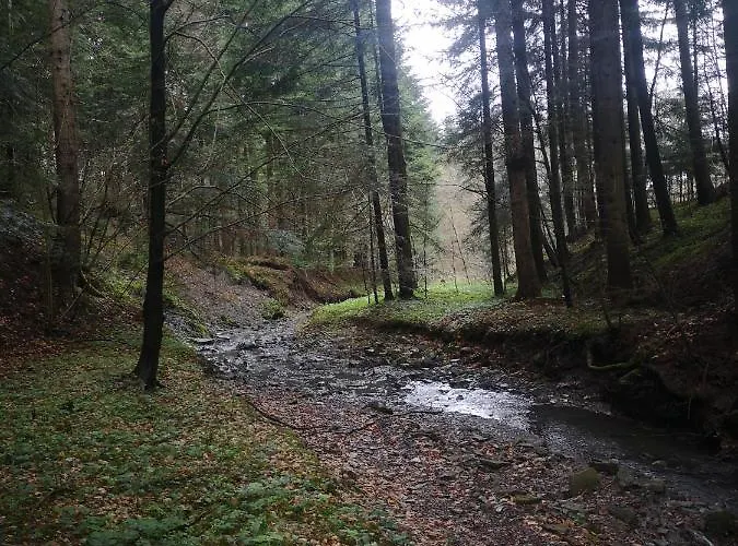 Siedlisko Podjaworzem